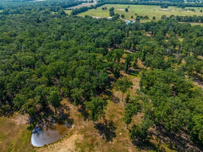 Custom Home On Acreage With Large Pond & Hunting NE TX - image 9