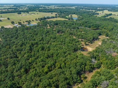 Custom Home On Acreage With Large Pond & Hunting NE TX - image 5