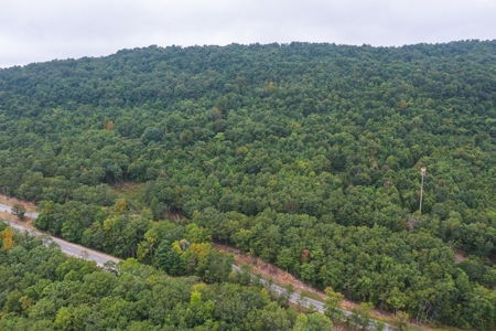 OFFERING #1 - Land for Sale at Auction in Blacksburg VA - image 1