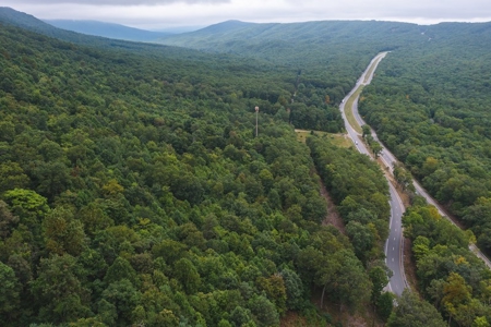 OFFERING #1 - Land for Sale at Auction in Blacksburg VA - image 4