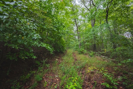 OFFERING #1 - Land for Sale at Auction in Blacksburg VA - image 14