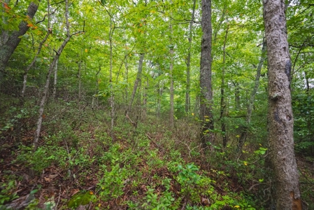 OFFERING #1 - Land for Sale at Auction in Blacksburg VA - image 16
