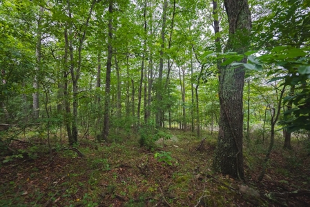 OFFERING #1 - Land for Sale at Auction in Blacksburg VA - image 18