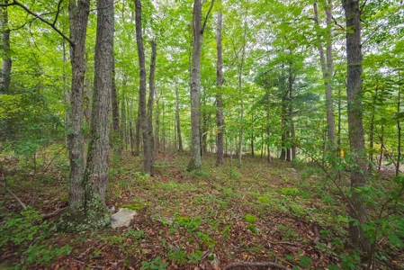 OFFERING #1 - Land for Sale at Auction in Blacksburg VA - image 21