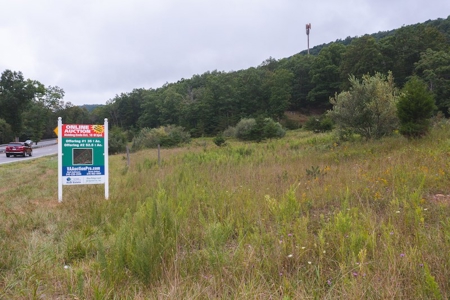 OFFERING #2 - Recreational Land for Sale at Auction - image 6