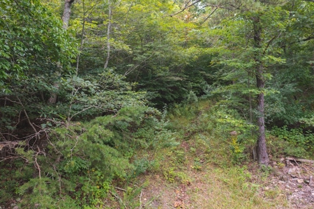 OFFERING #2 - Recreational Land for Sale at Auction - image 13