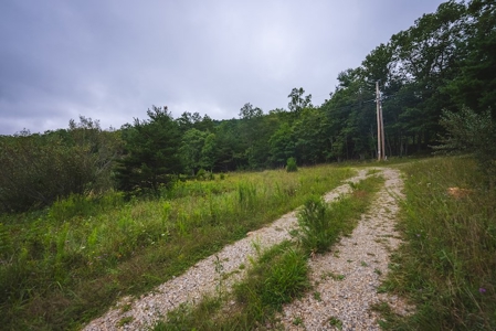 OFFERING #2 - Recreational Land for Sale at Auction - image 16