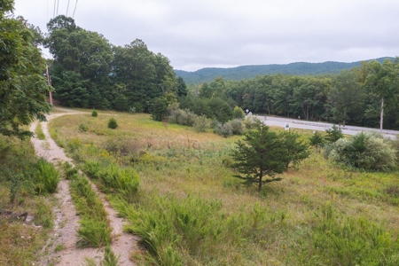 OFFERING #2 - Recreational Land for Sale at Auction - image 9