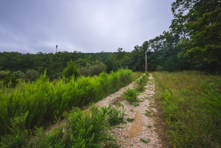 OFFERING #2 - Recreational Land for Sale at Auction - image 15