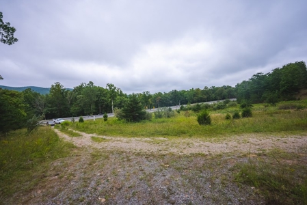 OFFERING #2 - Recreational Land for Sale at Auction - image 19