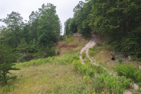 OFFERING #2 - Recreational Land for Sale at Auction - image 7
