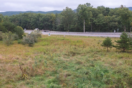 OFFERING #2 - Recreational Land for Sale at Auction - image 11