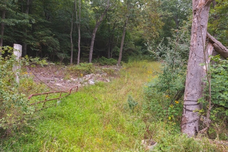 OFFERING #2 - Recreational Land for Sale at Auction - image 12