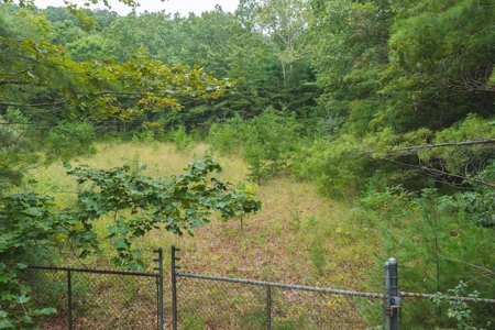OFFERING #2 - Recreational Land for Sale at Auction - image 5