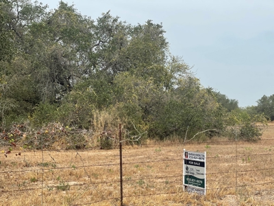 Land for Sale - South Bexar County - Tree-Studded Property - image 5