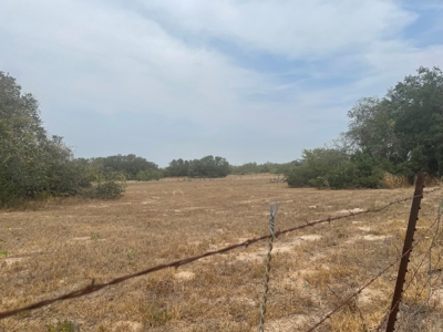 Land for Sale - South Bexar County - Tree-Studded Property - image 4