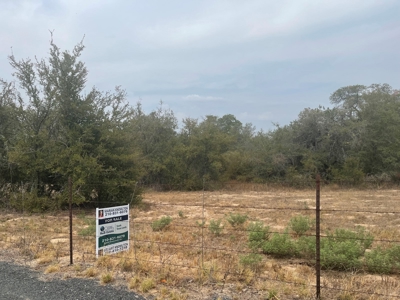 Land for Sale - South Bexar County - Tree-Studded Property - image 2