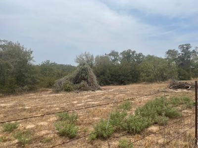 Land for Sale - South Bexar County - Tree-Studded Property - image 3