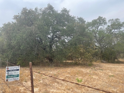 Land for Sale - South Bexar County - Tree-Studded Property - image 6