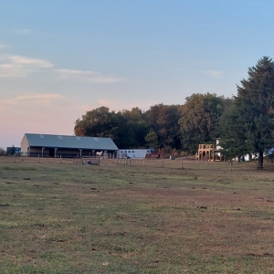 NW IL ranch on 5 acres South of Rock Falls - image 2
