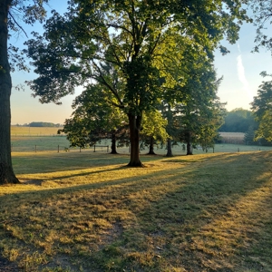 NW IL ranch on 5 acres South of Rock Falls - image 6