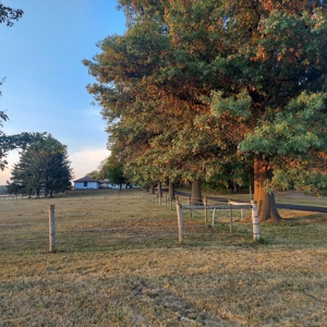 NW IL ranch on 5 acres South of Rock Falls - image 3