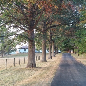 NW IL ranch on 5 acres South of Rock Falls - image 4