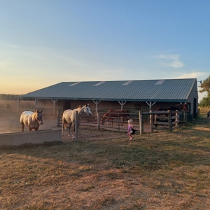 NW IL ranch on 5 acres South of Rock Falls - image 49