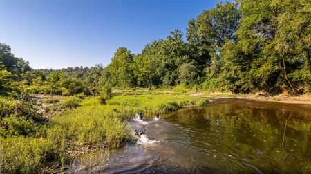Riverfront Ranch for sale in Montgomery County, Arkansas - image 3