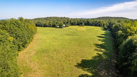 Riverfront Ranch for sale in Montgomery County, Arkansas - image 11