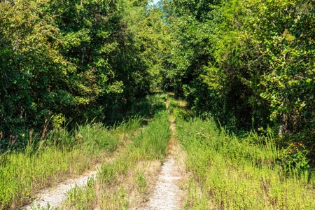 Riverfront Ranch for sale in Montgomery County, Arkansas - image 25
