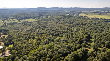 Riverfront Ranch for sale in Montgomery County, Arkansas - image 13