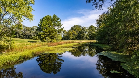 Riverfront Ranch for sale in Montgomery County, Arkansas - image 23