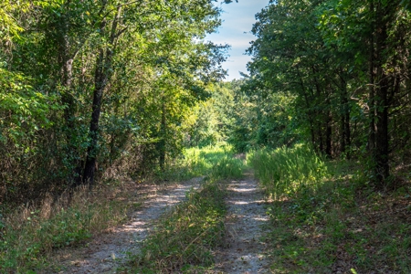 Riverfront Ranch for sale in Montgomery County, Arkansas - image 28