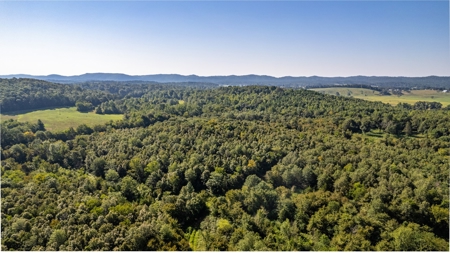 Riverfront Ranch for sale in Montgomery County, Arkansas - image 14