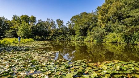 Riverfront Ranch for sale in Montgomery County, Arkansas - image 21
