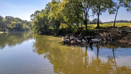 Riverfront Ranch for sale in Montgomery County, Arkansas - image 24