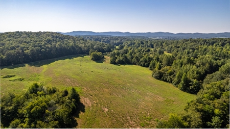Riverfront Ranch for sale in Montgomery County, Arkansas - image 15