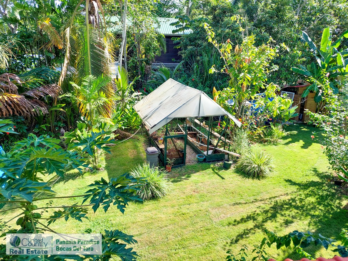Big Creek B&B; & Home – Big Creek, Isla Colón – 23