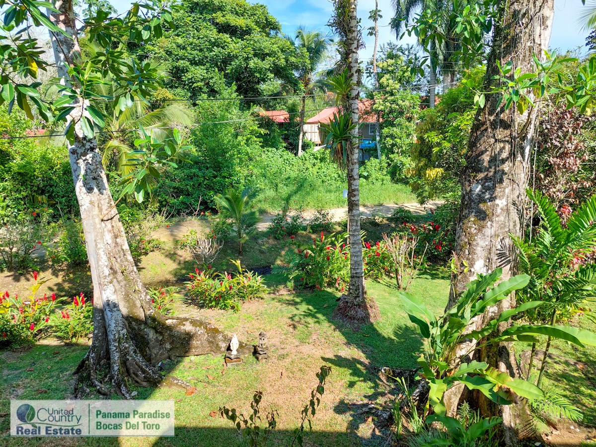 Big Creek B&B; & Home – Big Creek, Isla Colón – 24