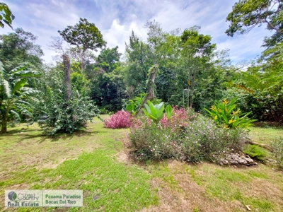 Titled Big Creek Home and BnB, Bocas del Toro, Panama - image 33