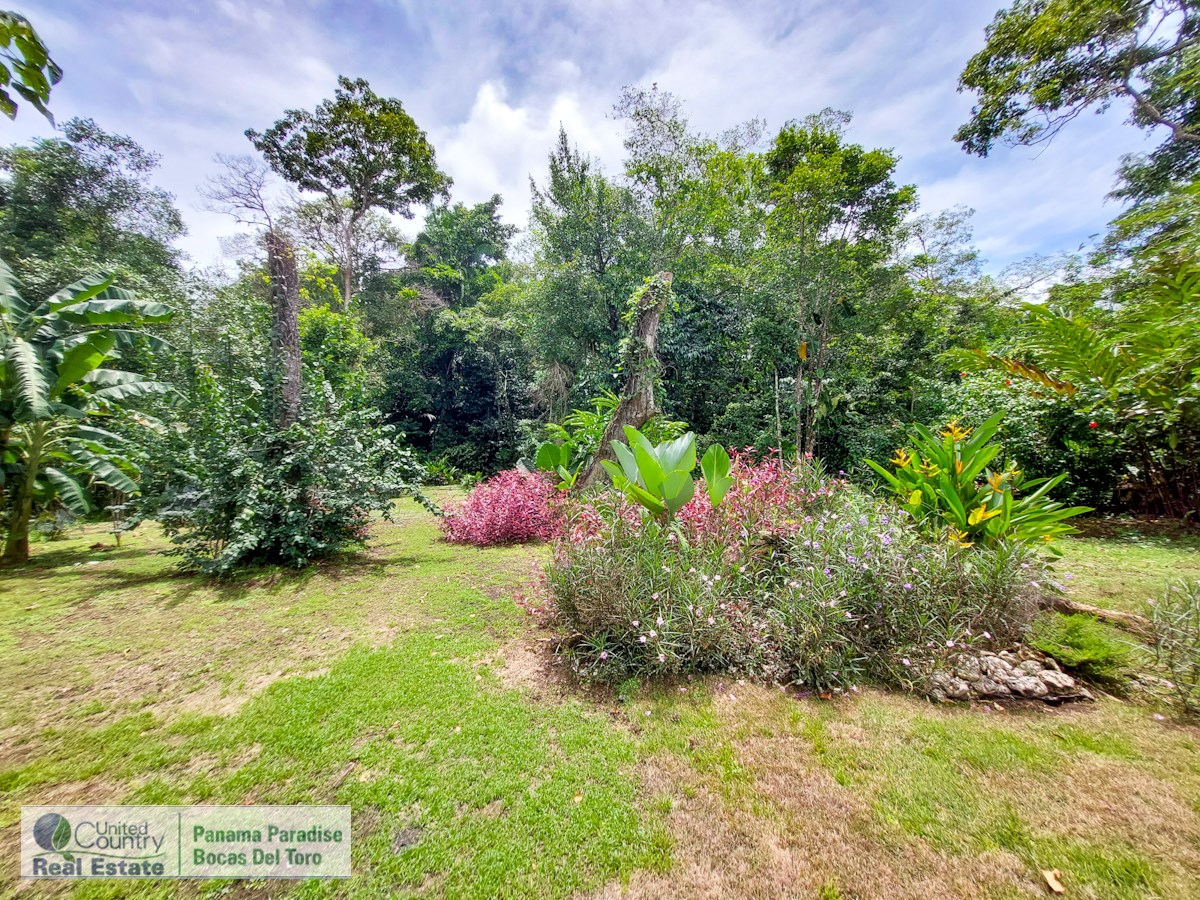 Big Creek B&B & Home — Big Creek, Isla Colón - 31