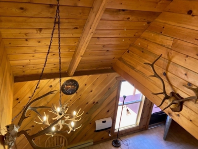 Mountain Home For Sale, Cimarron, Colorado - image 12