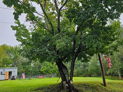Maine Riverfront Home - image 39