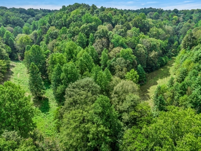 Land for Sale in Maury County Tennessee - image 26