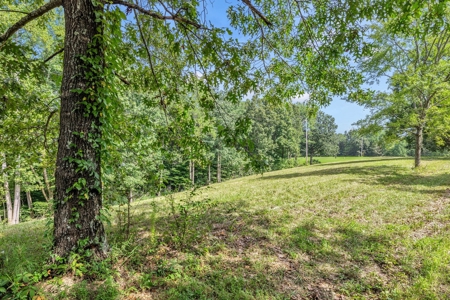 Land for Sale in Maury County Tennessee - image 8