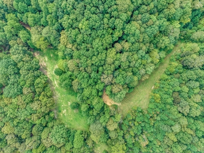 Land for Sale in Maury County Tennessee - image 22