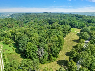 Land for Sale in Maury County Tennessee - image 16