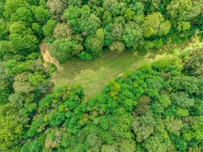 Land for Sale in Maury County Tennessee - image 21