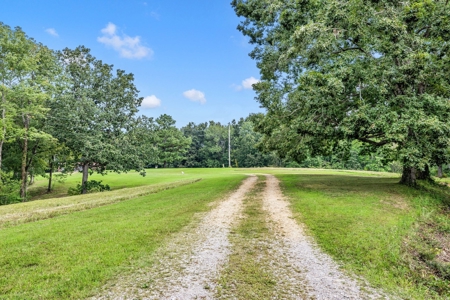 Land for Sale in Maury County Tennessee - image 9